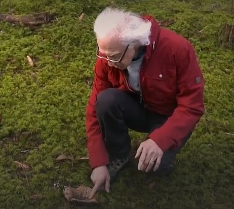 France 3 - Les balades Aux goûts du jour : sur la route des champignons