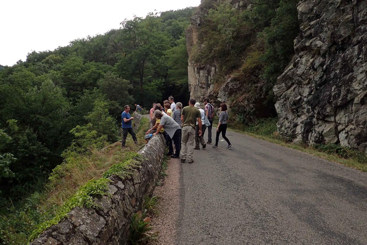 Sortie-Fougères avec le CEN Auvergne à Menat (63) 14 décembre 2017