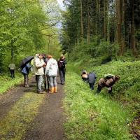 Sortie Ft de La Comté pour CG63 13/05/2017