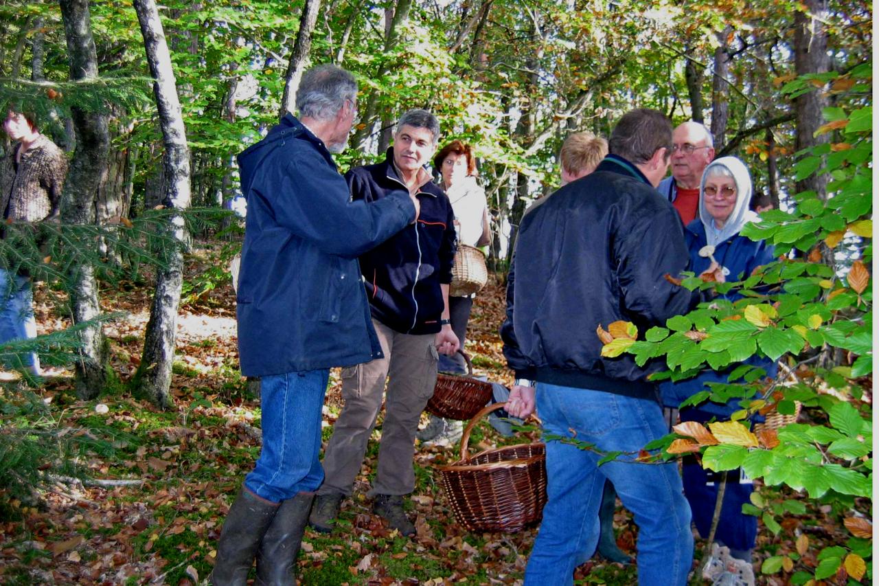 Sortie Forêt de la Comté 18 octobre 2010