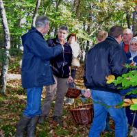 Sortie Forêt de la Comté 18 octobre 2010