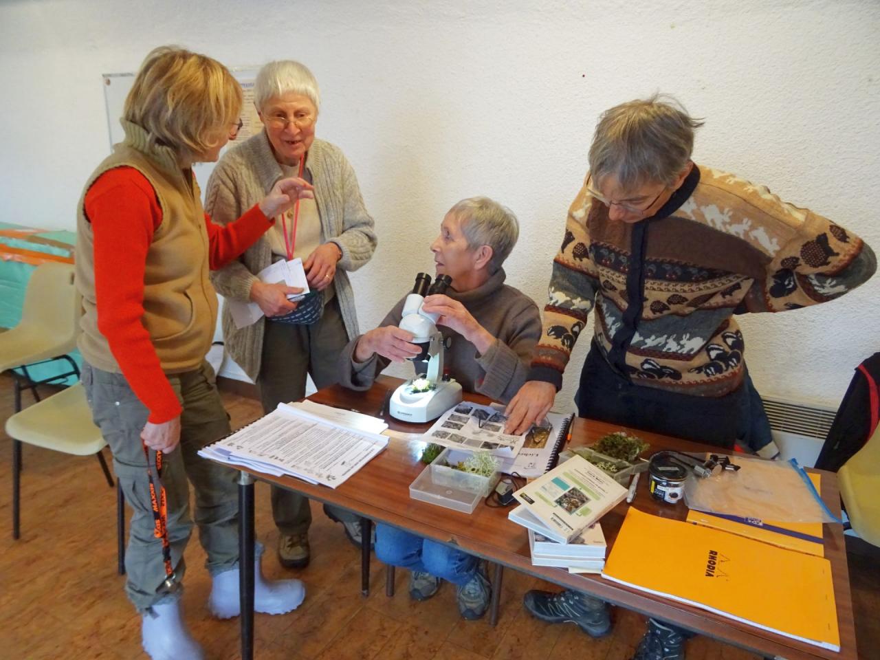 Formation lichens à Châteaugay 10/12/2017