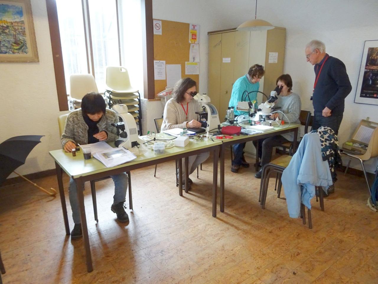 Formation lichens à Châteaugay 10/12/2017