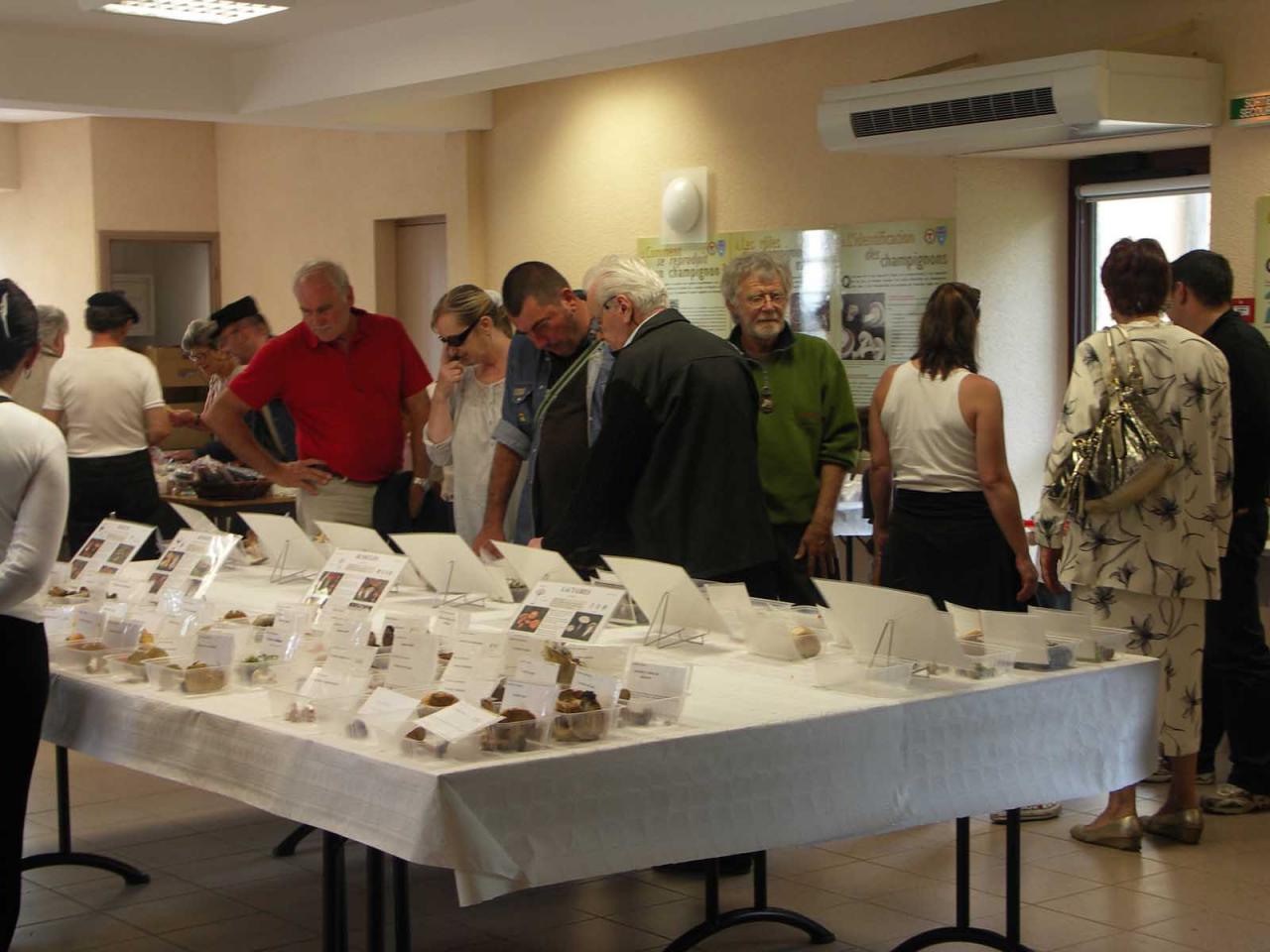 Exposition La Chapelle-Geneste 15 août 2011