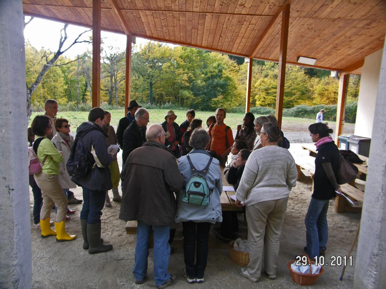 Sortie Forêt de La Comté 29 octobre 2011