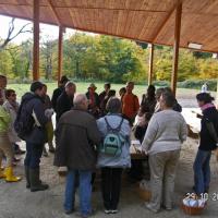 Sortie Forêt de La Comté 29 octobre 2011