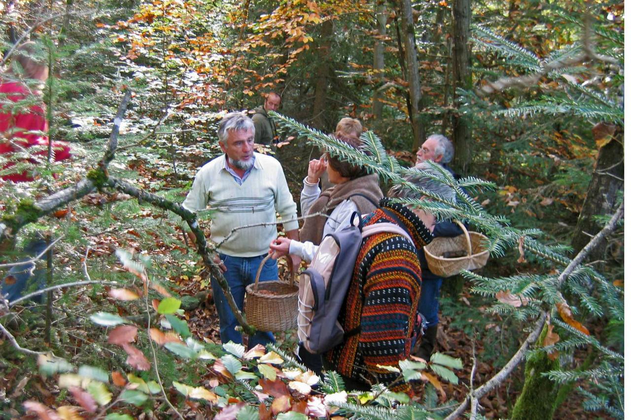 Sortie Forêt de la Comté 18 octobre 2010