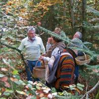 Sortie Forêt de la Comté 18 octobre 2010