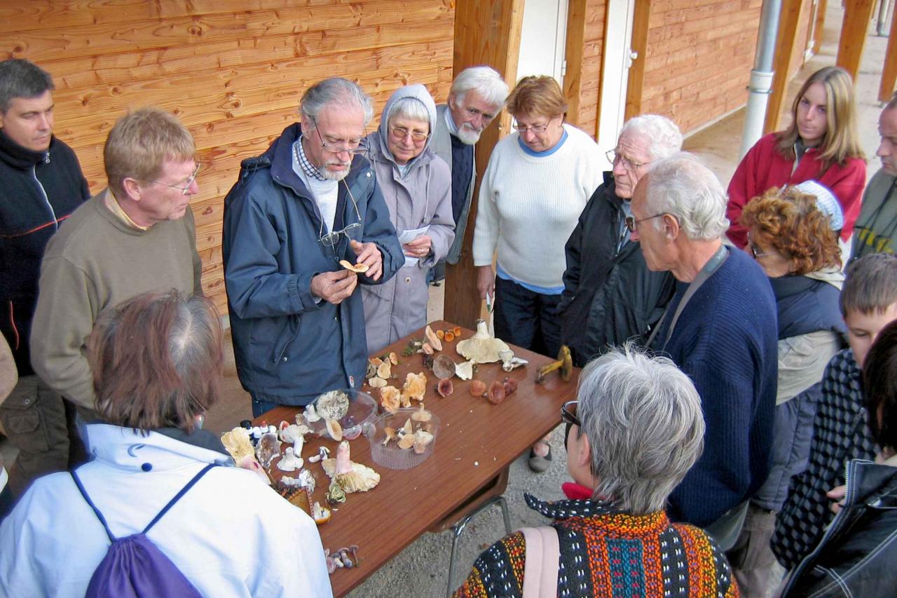 Sortie Forêt de la Comté 18 octobre 2010