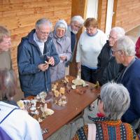 Sortie Forêt de la Comté 18 octobre 2010