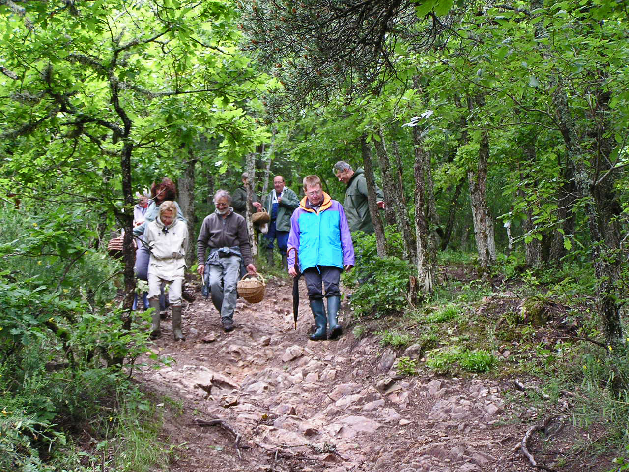 Sortie Dauzat 7 juin 2008