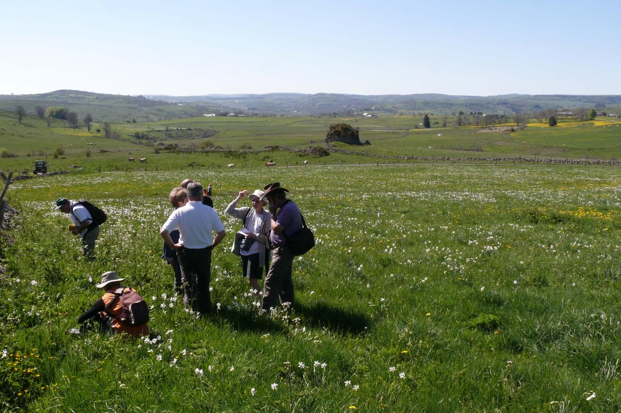 Sortie dans l'Aubrac 24 mai 2010