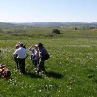 Sortie dans l'Aubrac 24 mai 2010