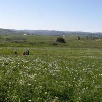 Sortie dans l'Aubrac 24 mai 2010