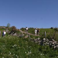 Sortie dans l'Aubrac 24 mai 2010