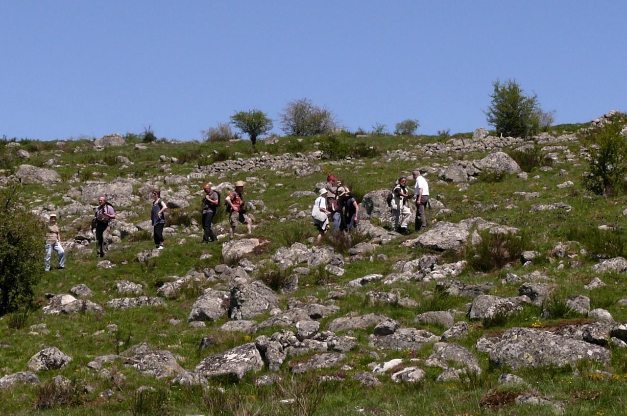 Sortie dans l'Aubrac 24 mai 2010