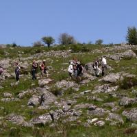 Sortie dans l'Aubrac 24 mai 2010