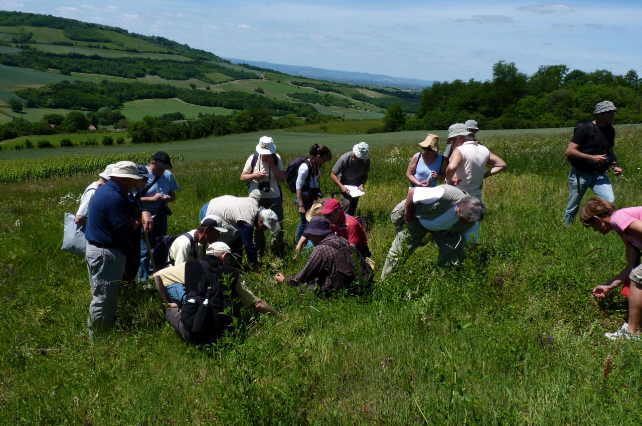 Sortie avec la SHNA au Puy de Pileyre 28 mai 2011