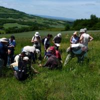 Sortie avec la SHNA au Puy de Pileyre 28 mai 2011