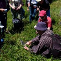 Sortie avec la SHNA au Puy de Pileyre 28 mai 2011