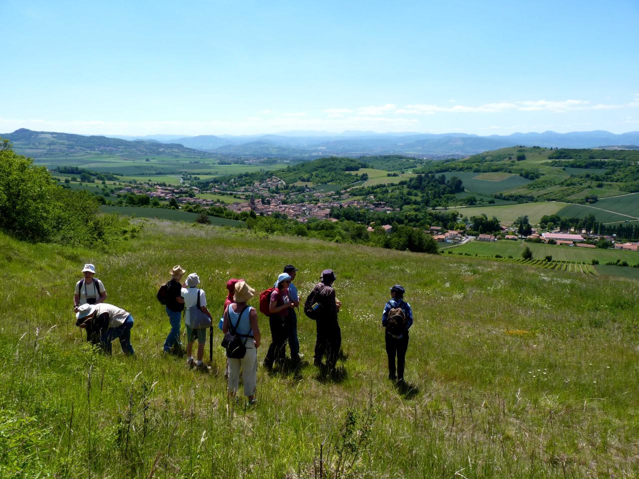 Sortie avec la SHNA au Puy de Pileyre 28 mai 2011