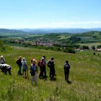 Sortie avec la SHNA au Puy de Pileyre 28 mai 2011