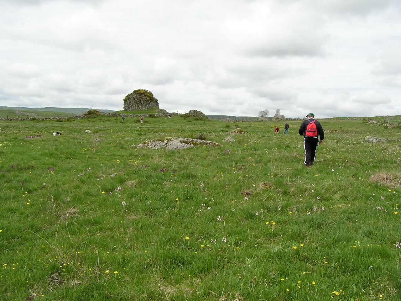 Sortie Aubrac 17 mai 2008