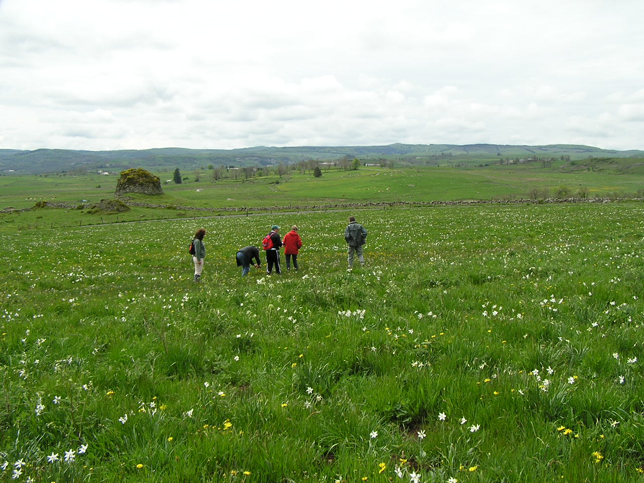 Sortie Aubrac 17 mai 2008