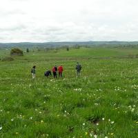 Sortie Aubrac 17 mai 2008