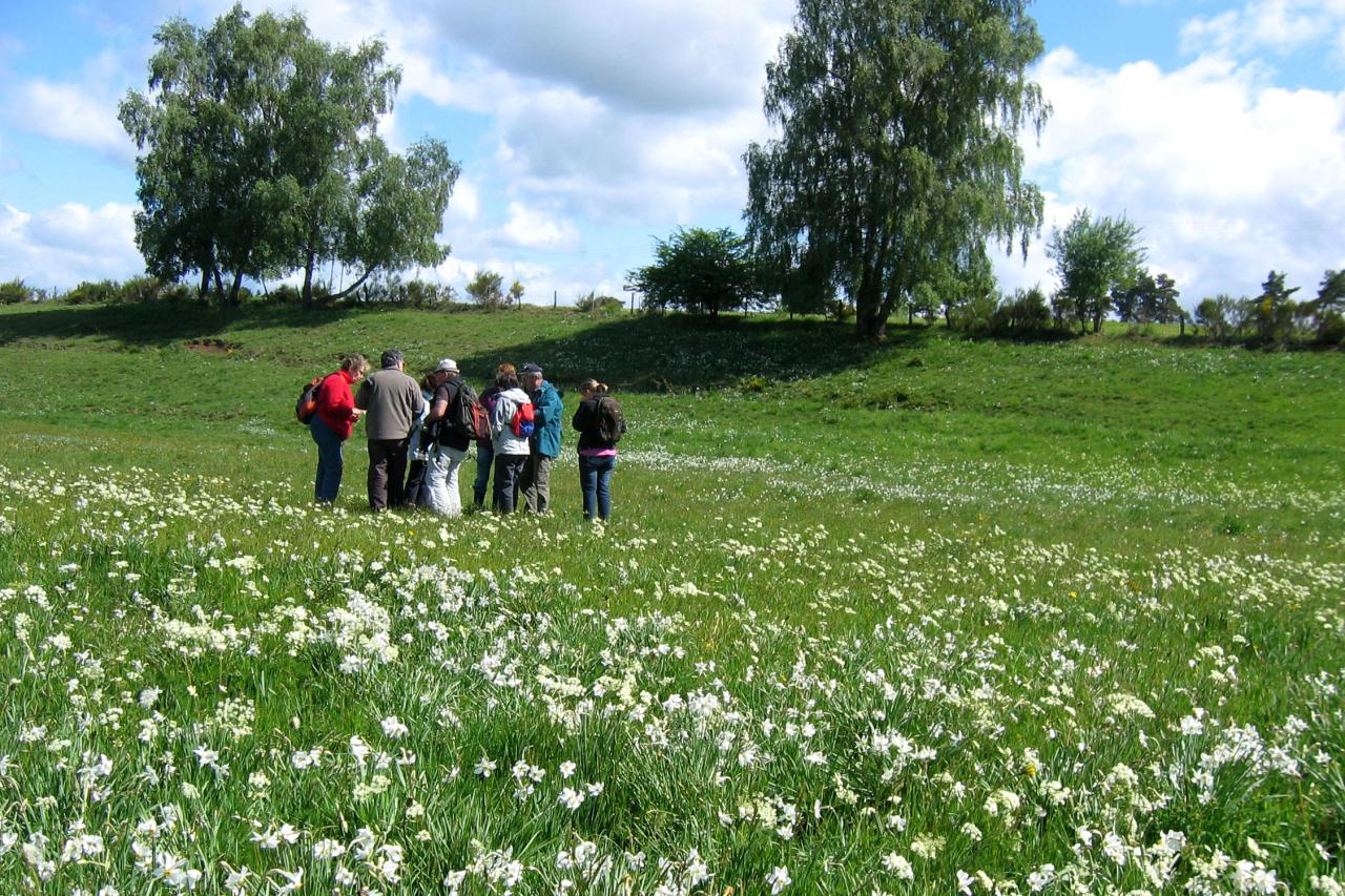 Sortie dans l'Aubrac 15 mai 2011