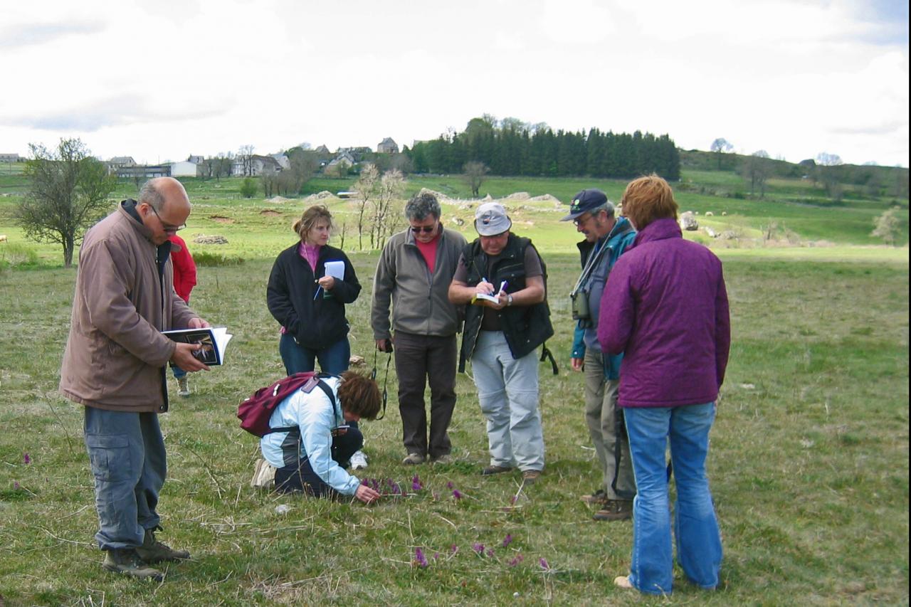 Sortie dans l'Aubrac 15 mai 2011