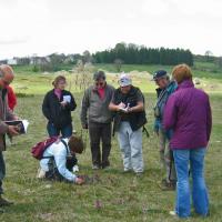 Sortie dans l'Aubrac 15 mai 2011