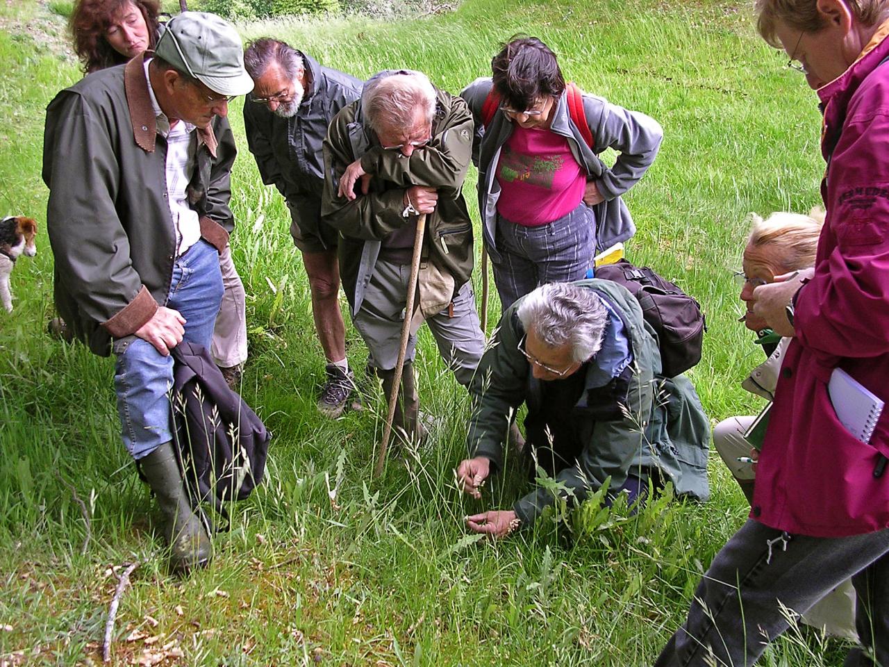 Sortie Les Sources de Bard 24 mai 2008