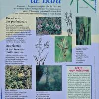 Sortie Les Sources de Bard 24 mai 2008