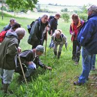 Sortie Les Sources de Bard 24 mai 2008