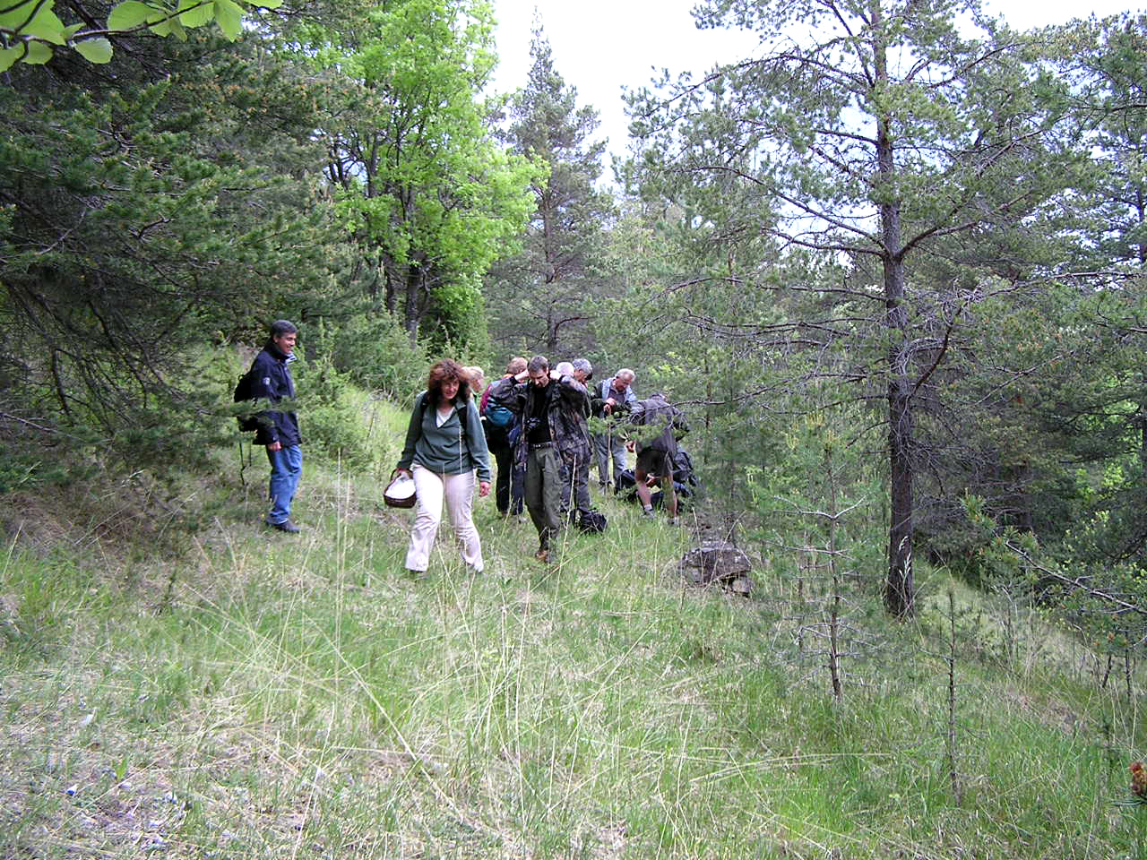 Sortie Les Sources de Bard 24 mai 2008