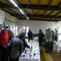 Exposition St Bonnet-le-Froid 5 et 6 novembre 2011