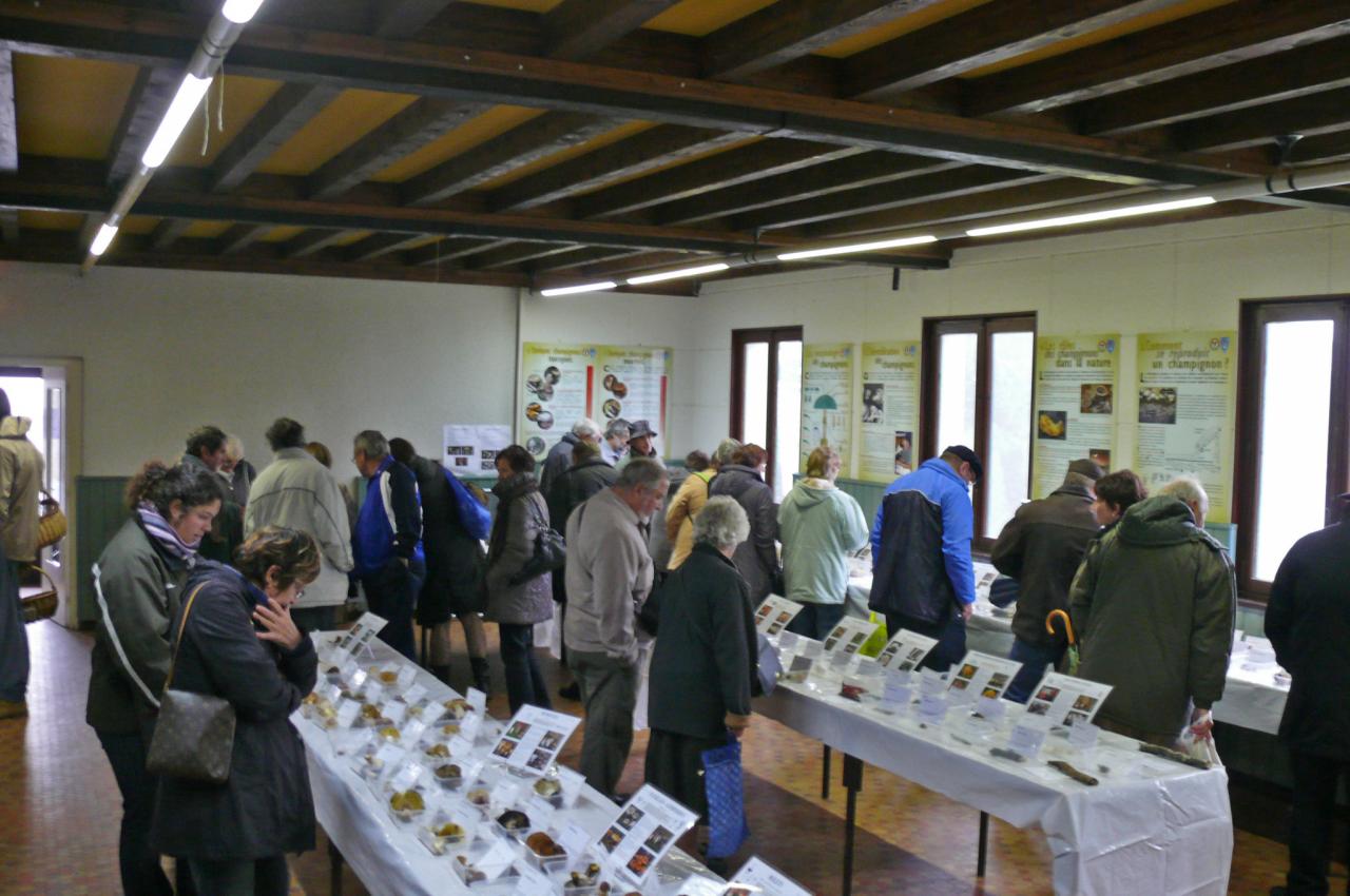 Exposition St Bonnet-le-Froid 5 et 6 novembre 2011