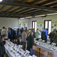 Exposition St Bonnet-le-Froid 5 et 6 novembre 2011