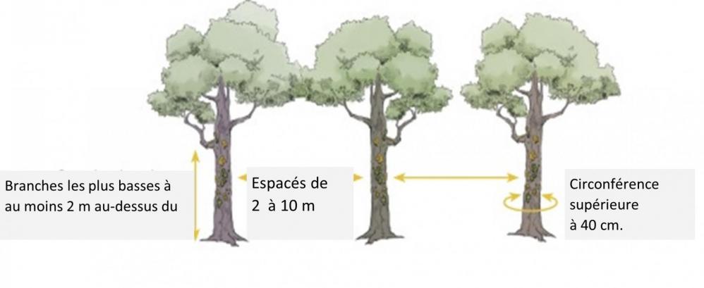 Image2 1
